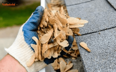 retirada manual de hojas en las canaletas pluviales en Valladoloid